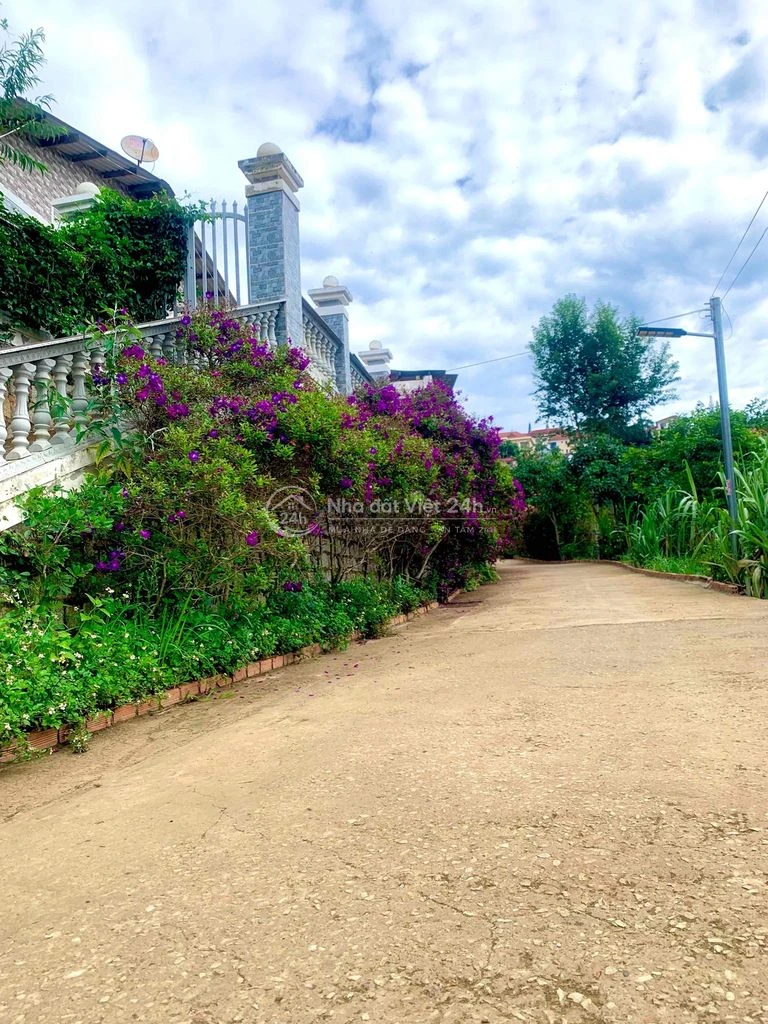 469m2 Đất Biệt Thự Trung Tâm Đà Lạt 7 tỷ 990 triệu