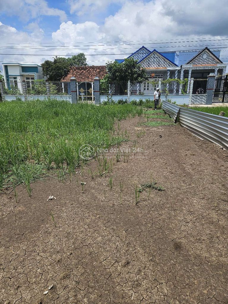 cắt bán trả nợ gấp,đất Tiền Giang,SHR,HXH