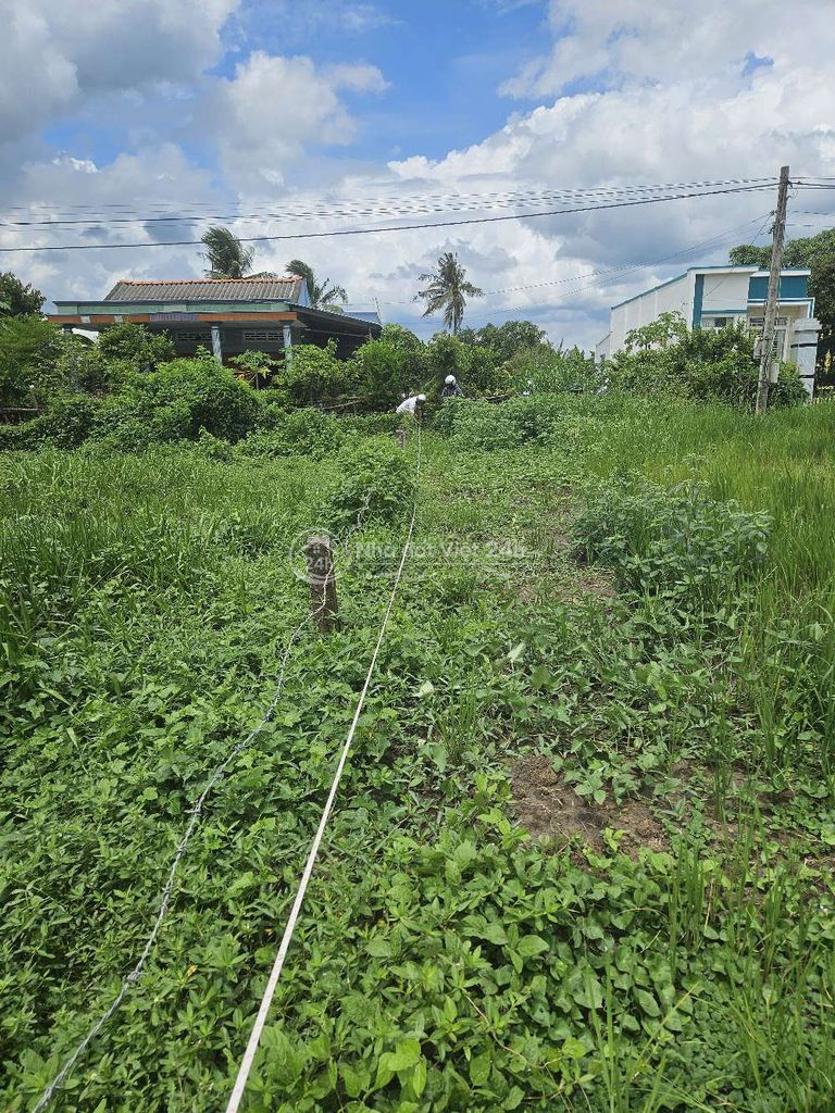 cắt bán trả nợ gấp,đất Tiền Giang,SHR,HXH