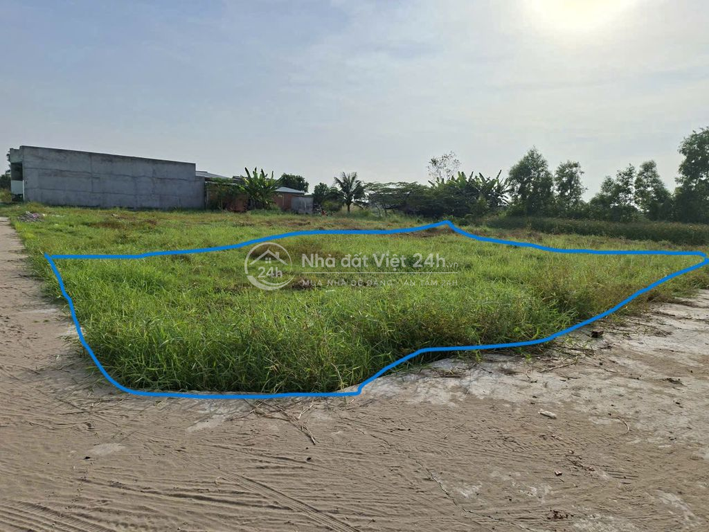 CHÍNH CHỦ BÁN ĐẤT THỔ CƯ XÃ LONG CANG – CẦN ĐƯỚC, LONG AN