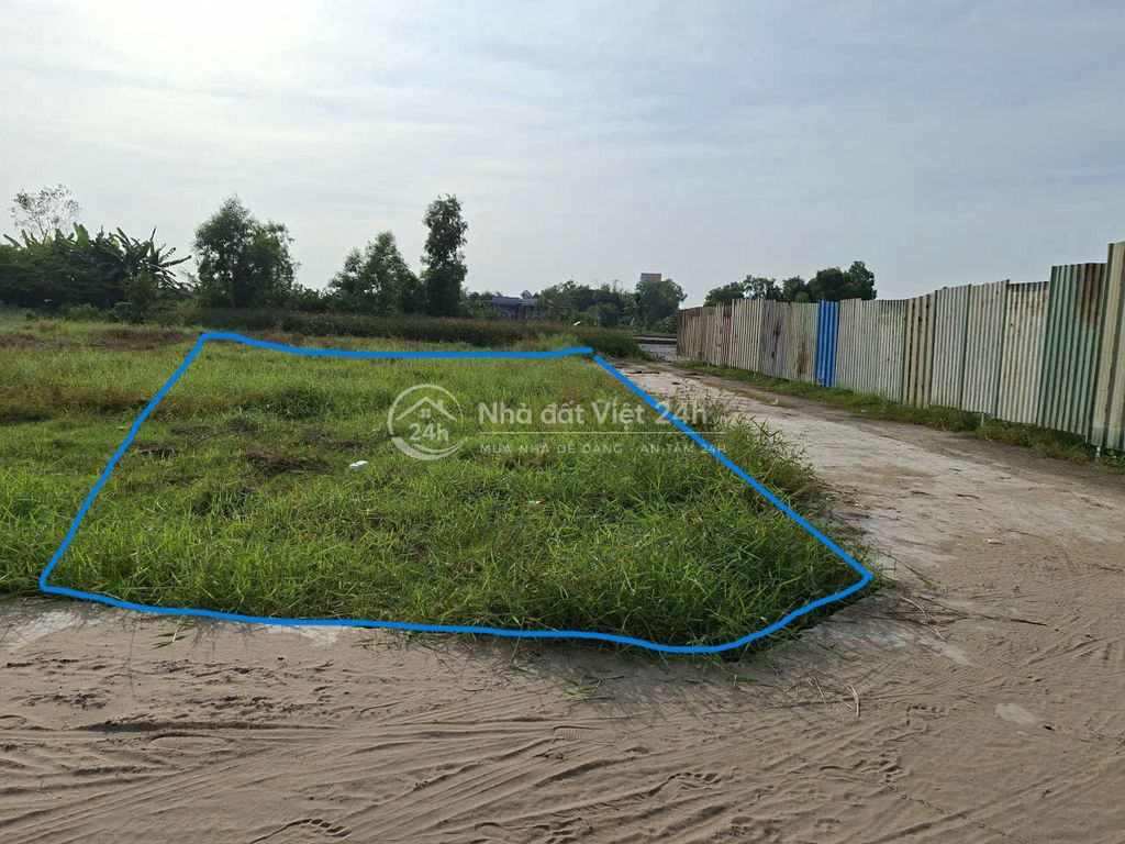 CHÍNH CHỦ BÁN ĐẤT THỔ CƯ XÃ LONG CANG – CẦN ĐƯỚC, LONG AN