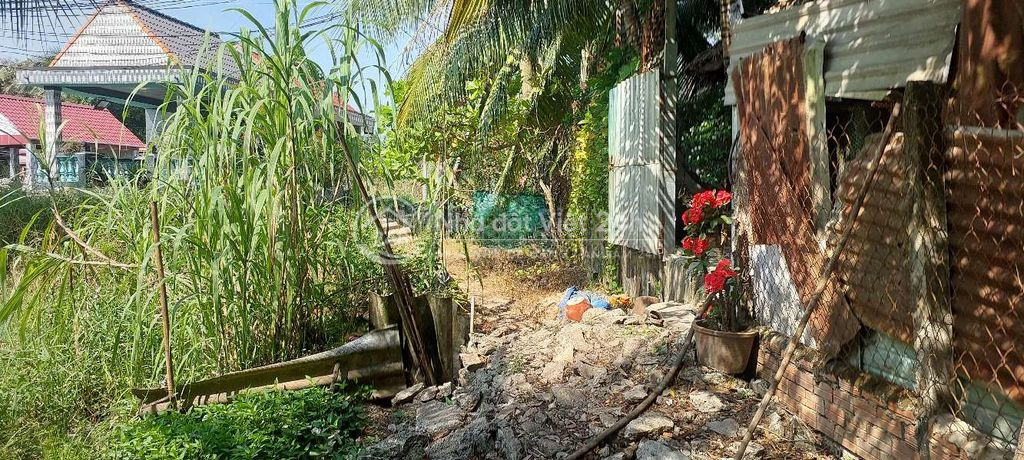 📢🎉CHO THUÊ ĐẤT DTSD : 2300M2 TẠI XÃ MỸ HẠNH BẮC - ĐỨC HÒA - LONG AN