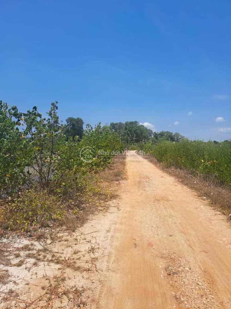 cần bán đất.thôn 9 xã Long Sơn bờ rịa Vũng tàu