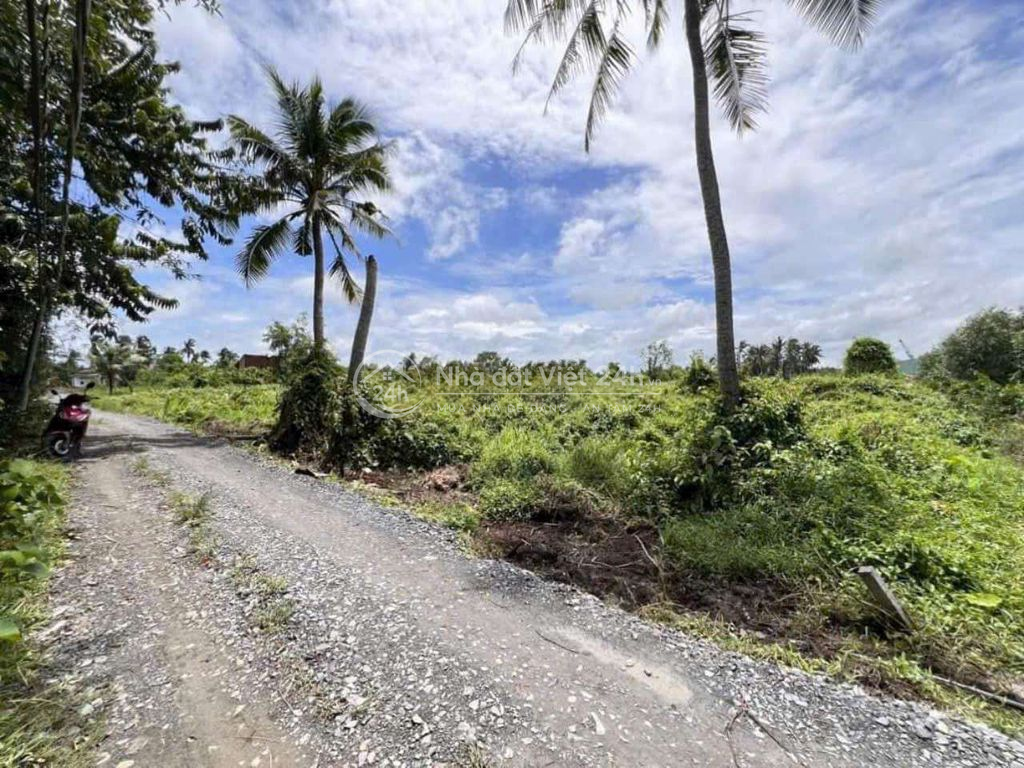 3077m2 ĐỐI DIÊN KCN TÂN ĐỨC