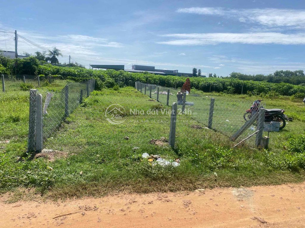 Chính chủ cần bán đất Tân Hưng, Tân Châu, Tây Ninh