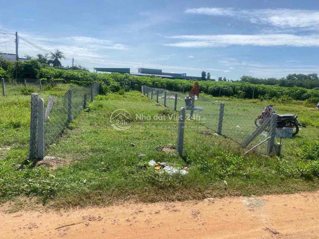 Chính chủ cần bán đất Tân Hưng, Tân Châu, Tây Ninh