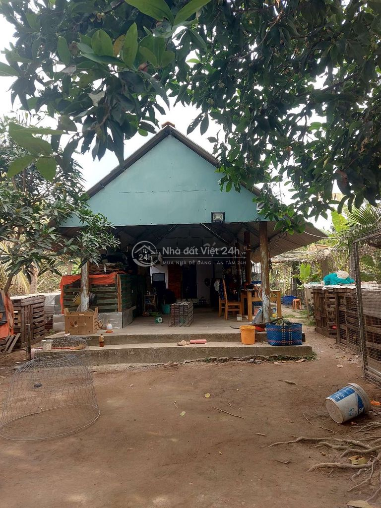 bán nhà vườn Thủ Thừa Long An cũ