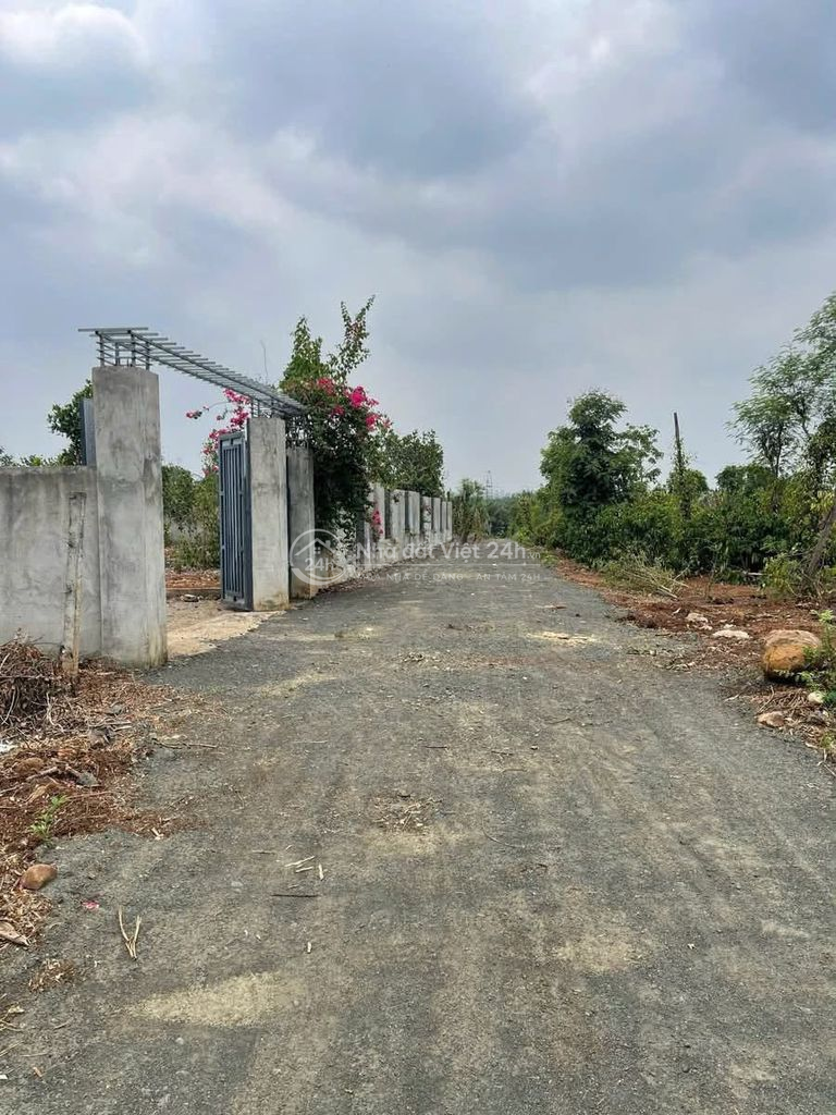 6,5 sào view ruộng mênh mông ngay chợ Đoàn Kết Hoà Khánh 3,9 tỷ