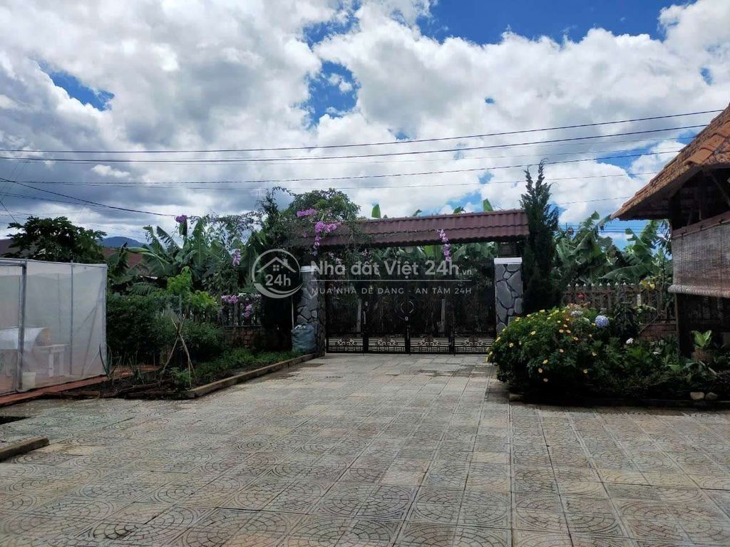 nhà sân vườn