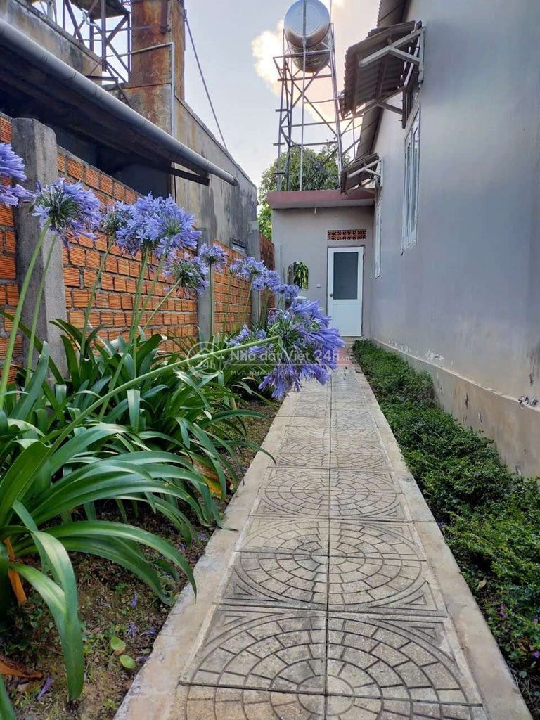 nhà sân vườn