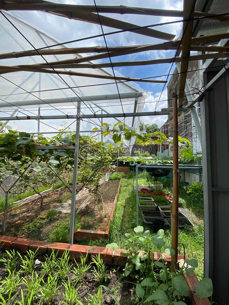 BÁN NHÀ VƯỜN 1400M2 ĐƯỜNG 36 BẾN ĐÒ LINH ĐÔNG
