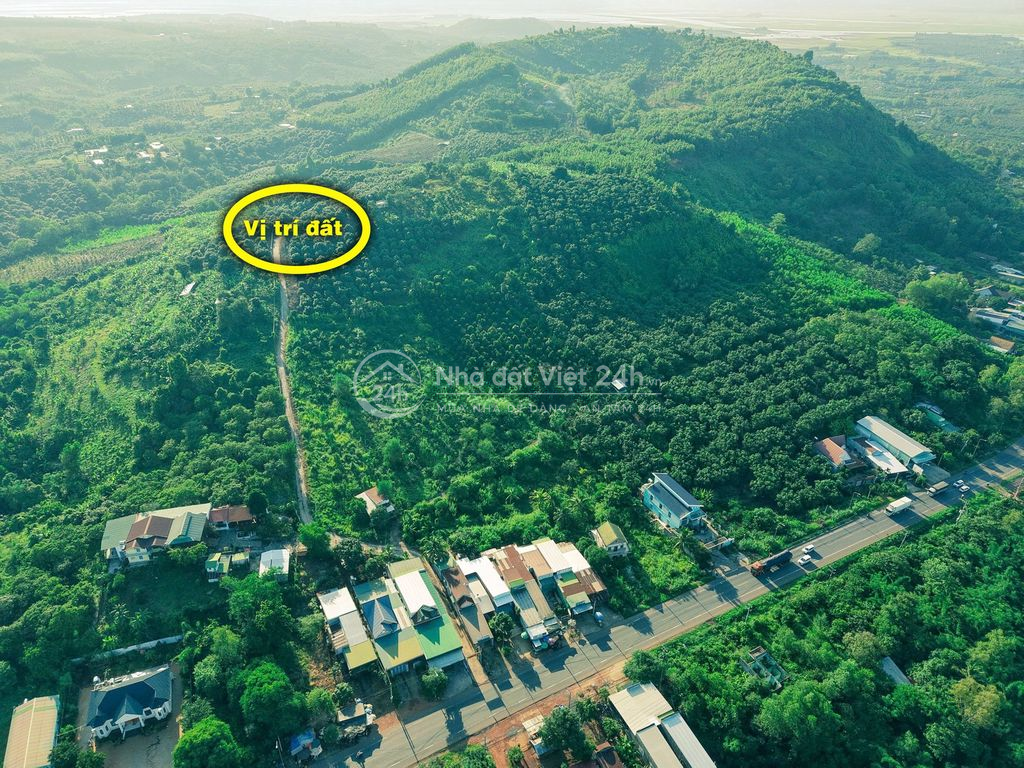 Đất vườn săn mây đẹp như Đà Lạt nằm gần hồ Trị An, xã La Ngà. 989triệu