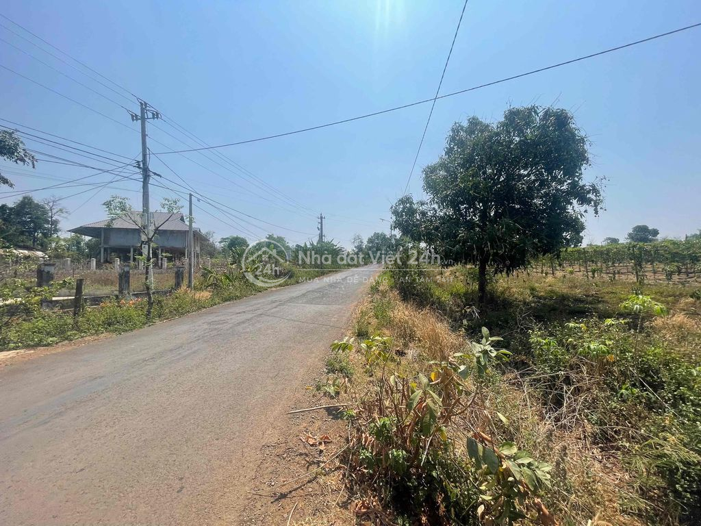 Đất sào đường liên xã Đắk Lắk