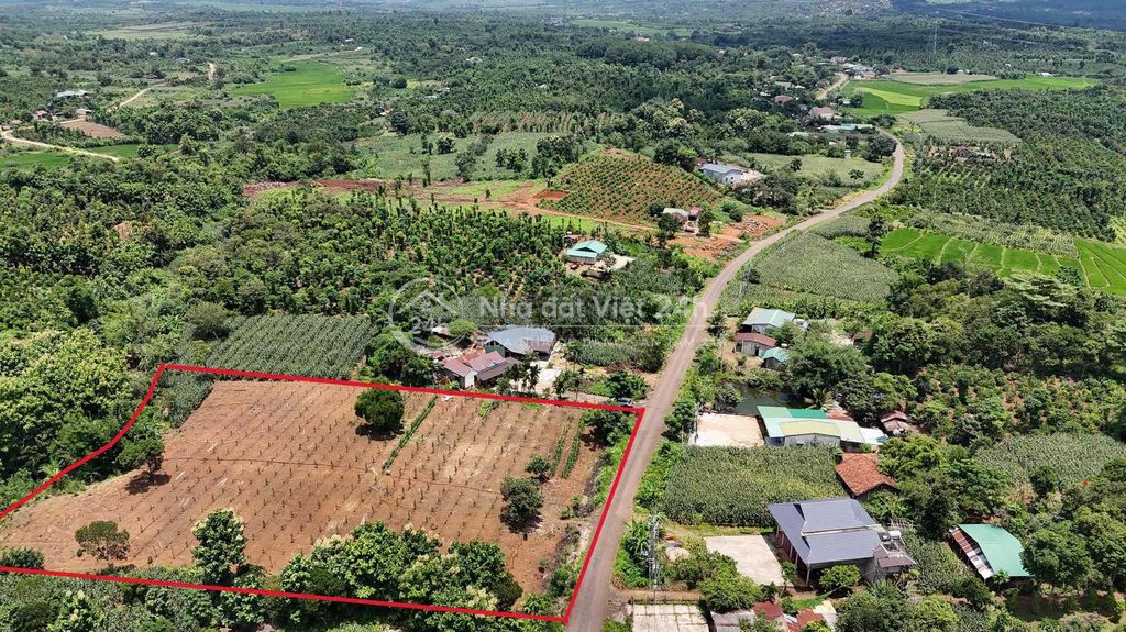 Đất sào đường liên xã Đắk Lắk