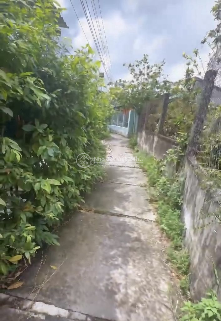 BÁN ĐẤT LONG MỸ VĨNH LONG
