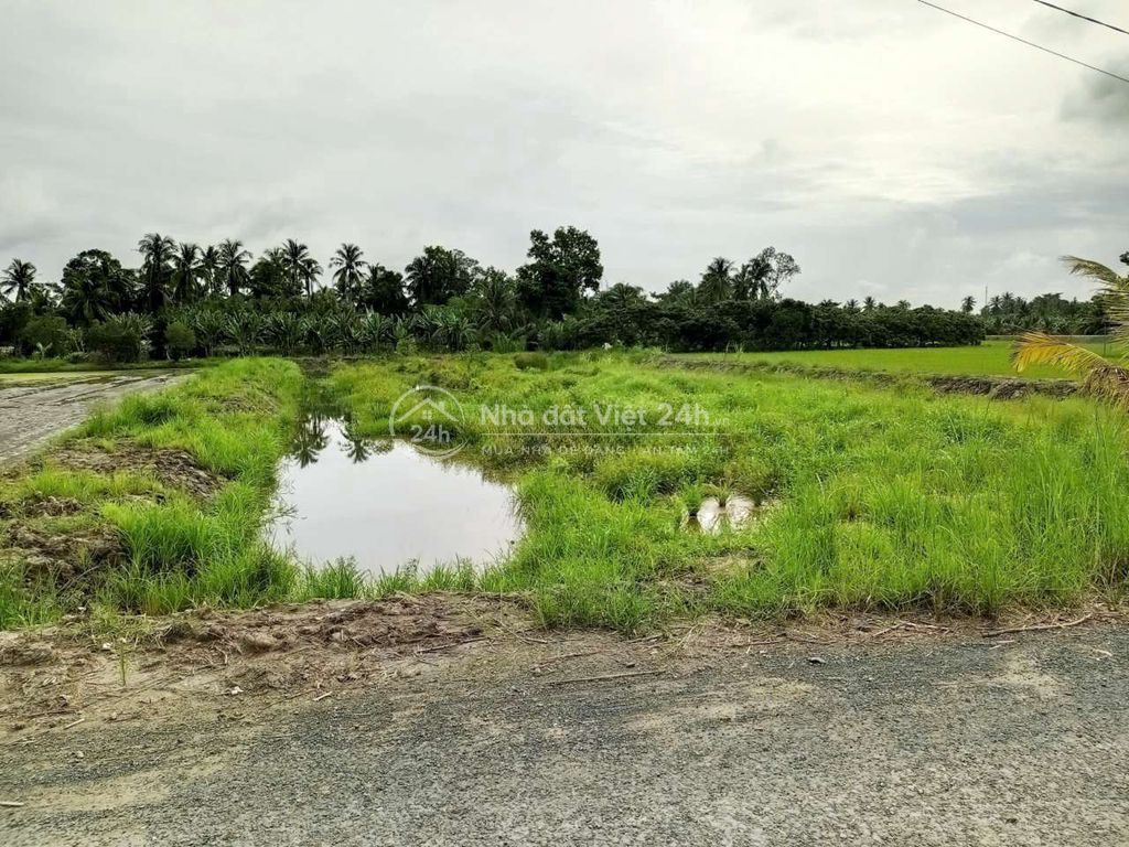 bán đất chính chủ