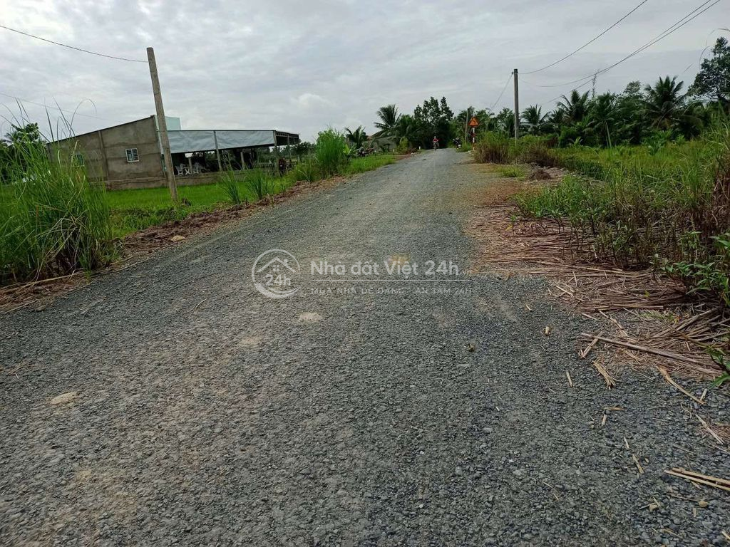 bán đất chính chủ