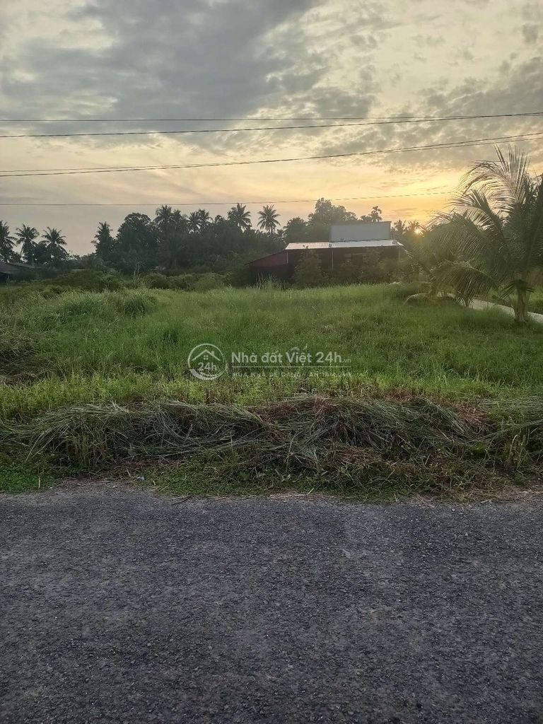 bán đất chính chủ