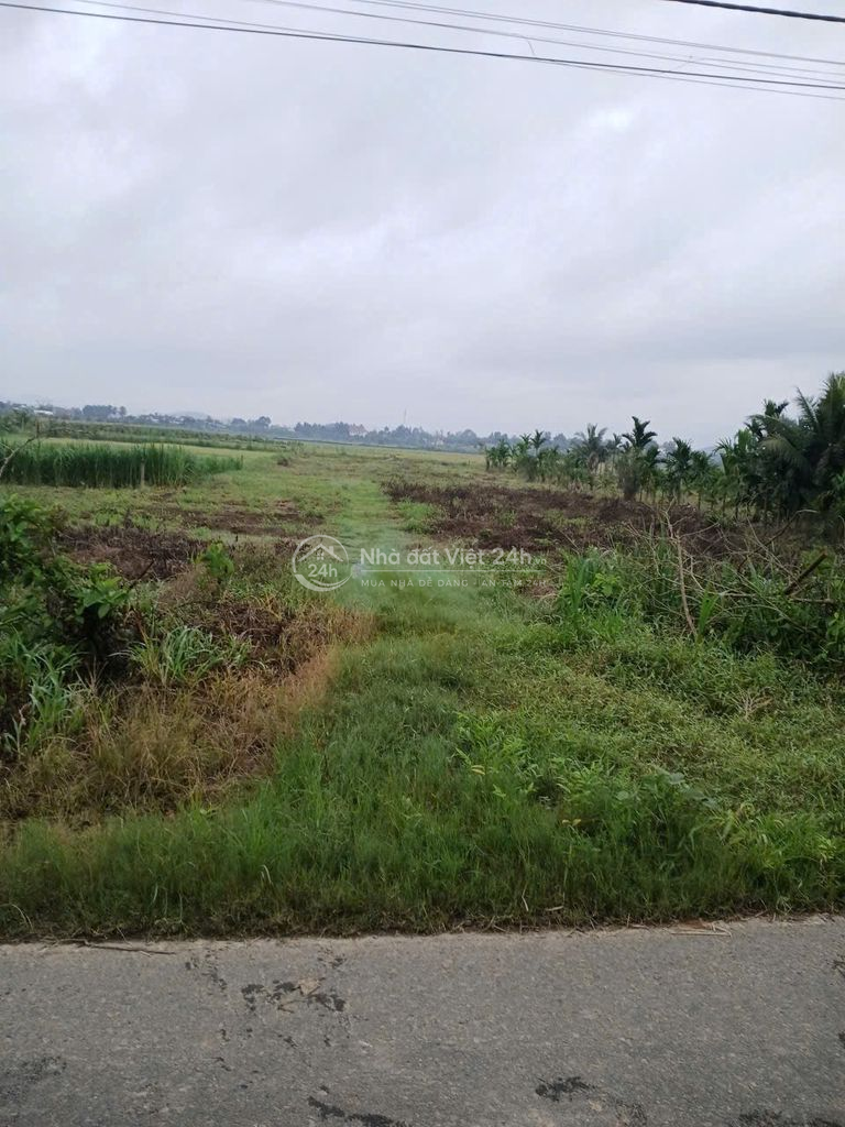 KHU KHẢO CỔ HỌC CÁT TIÊN