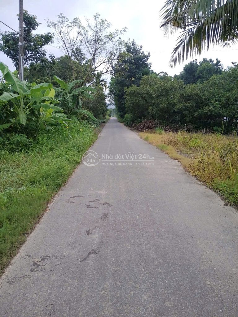 KHU KHẢO CỔ HỌC CÁT TIÊN