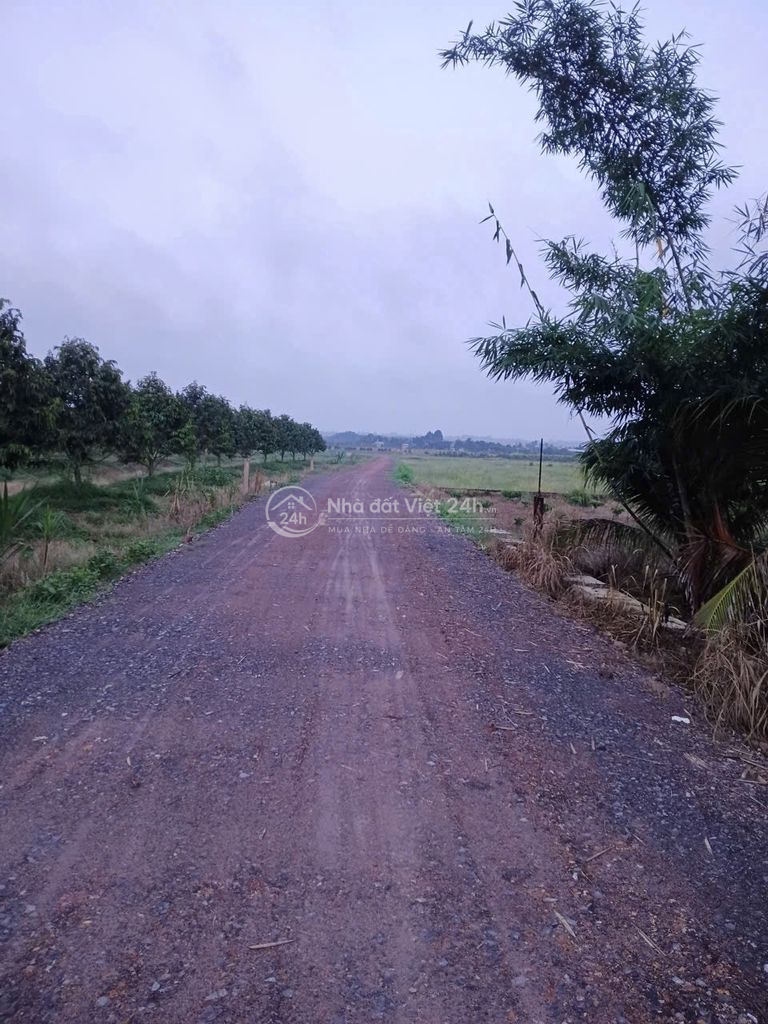KHU KHẢO CỔ HỌC CÁT TIÊN