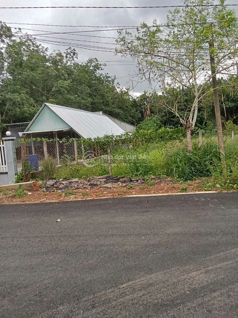 Bán đất mặt tiền Thị trấn Dầu Tiếng