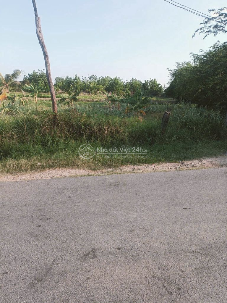 BÁN GẤP đất thổ cư mặt tiền đường rộng Phước Dân Ninh Thuận