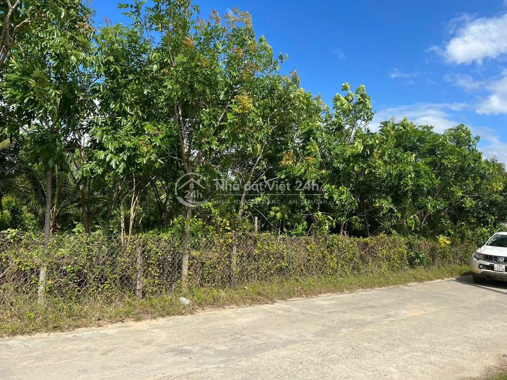 974992213 cần vốn bán nhanh lô đất ở xã Nhị Hà, Ninh Thuận.