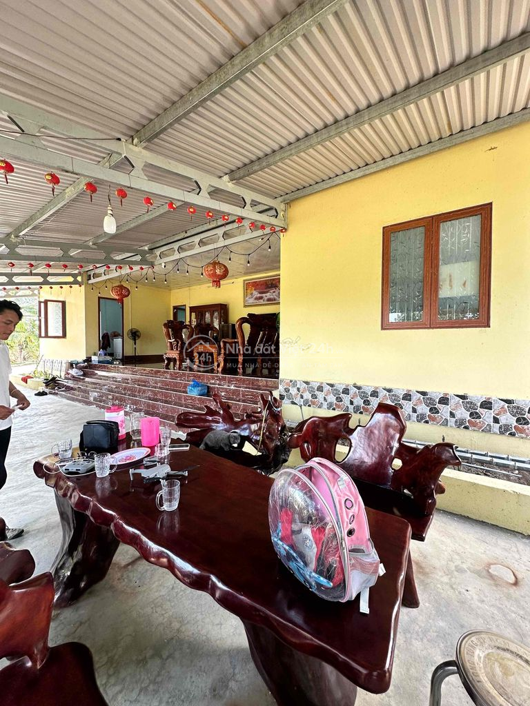 Bán đất sân vườn có villa mini trồng full cây ăn trái