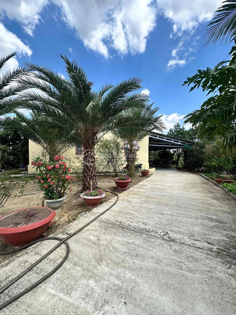 Bán đất sân vườn có villa mini trồng full cây ăn trái