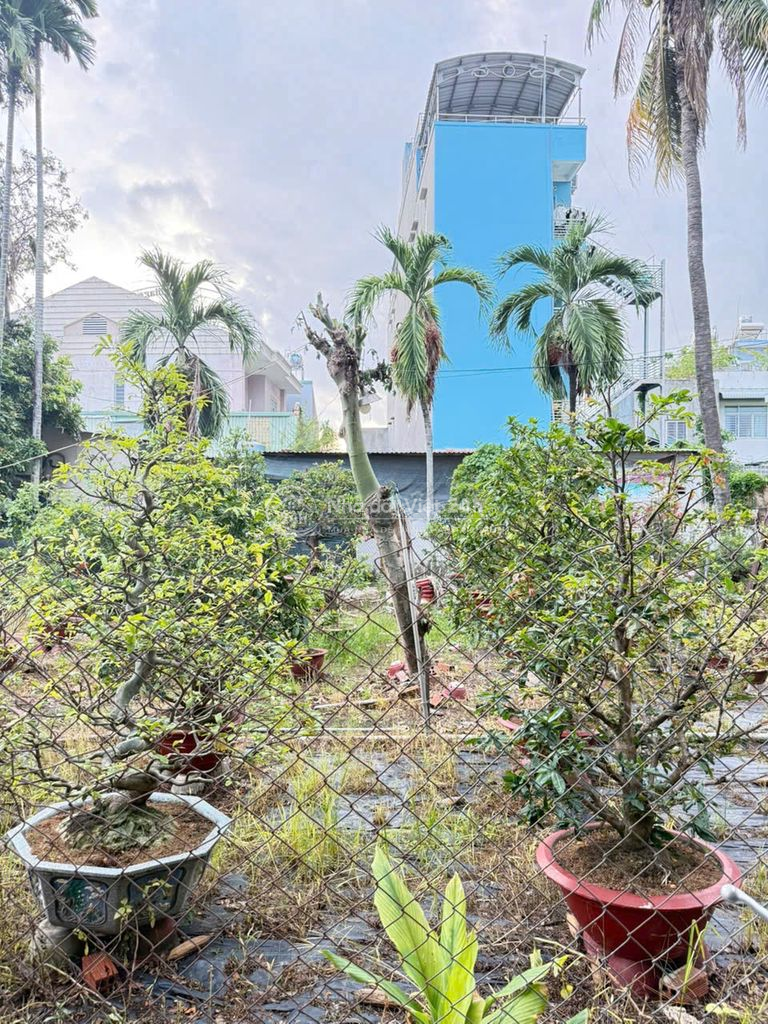 Đất Phước Bình Đường 14 Đại Lộ 3 -68M2 Nở Hậu - Hẻm Xe Hơi 4,3 Tỷ