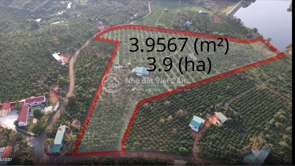 🌿 CHÍNH CHỦ CẦN BÁN VƯỜN SẦU RIÊNG GẦN 4 MẪU – ĐÃ CÓ SỔ HỒNG