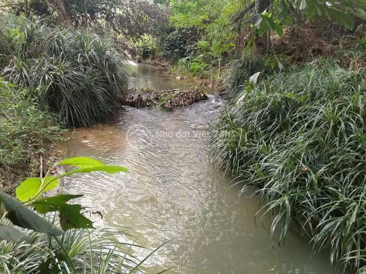 bán đất 9500m rẫy