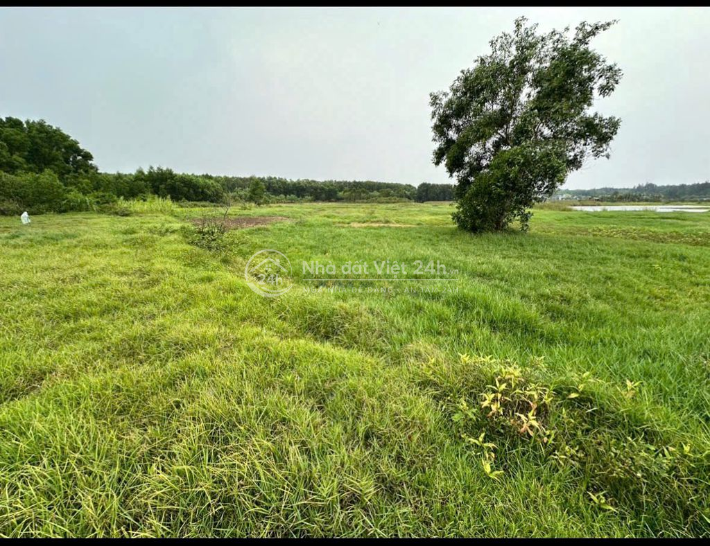 Kẹt tiền bán hơn 400m2 đất cách biển 900m . giá 140tr