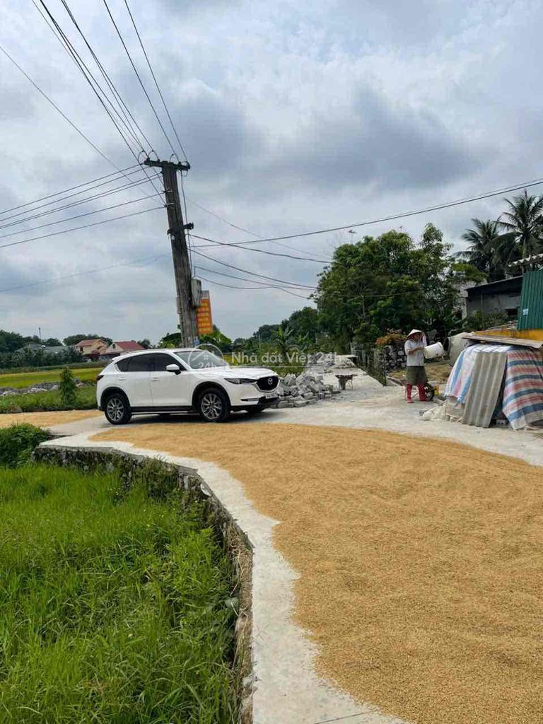 nhà đất chính chủ cần bán