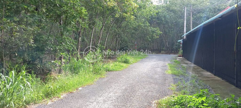 Bán đất đường nhựa 6m, cách Phạm Thị Than 20m, DT 107,3m2 giá 1.5 tỷ
