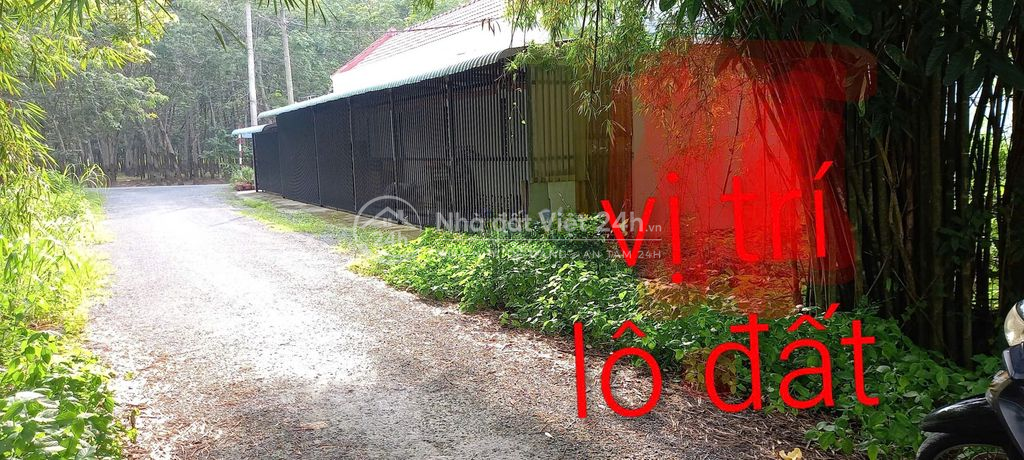 Bán đất đường nhựa 6m, cách Phạm Thị Than 20m, DT 107,3m2 giá 1.5 tỷ