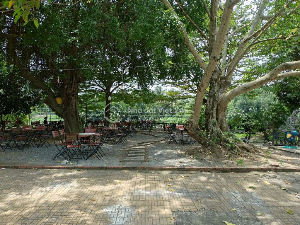 NỀN ĐẤT BIỆT THỰ CHO THUÊ