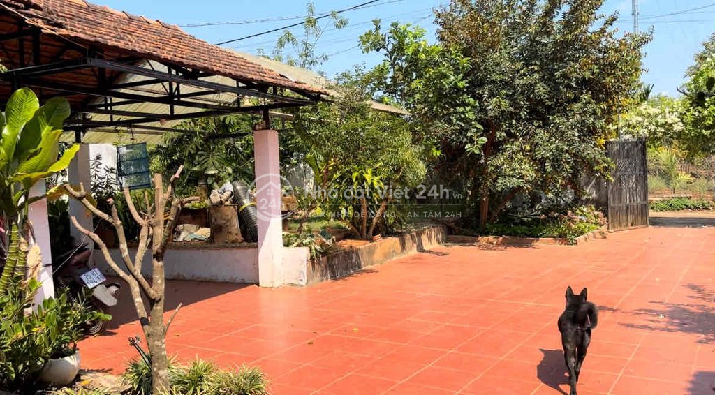 chính chủ cần bán 750m2 đất