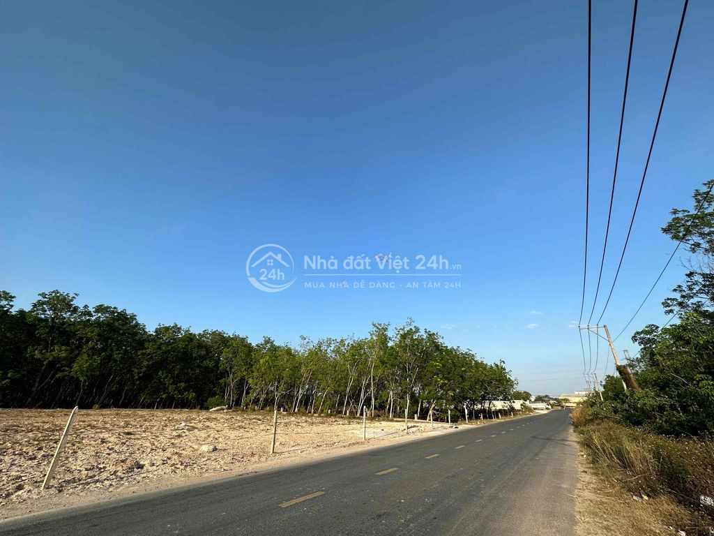 Cho thuê đất mặt tiền Trần Đại Nghĩa 361m² – Đẹp làm showroom, gara