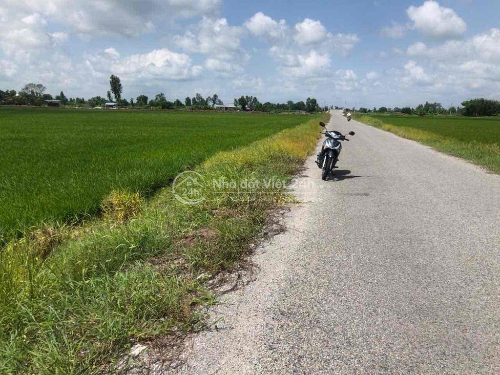BÁN ĐẤT CHÍNH CHỦ THỊ TRẤN MINH LƯƠNG GIỤC TƯỢNG HUYỆN CHÂU THÀNH
