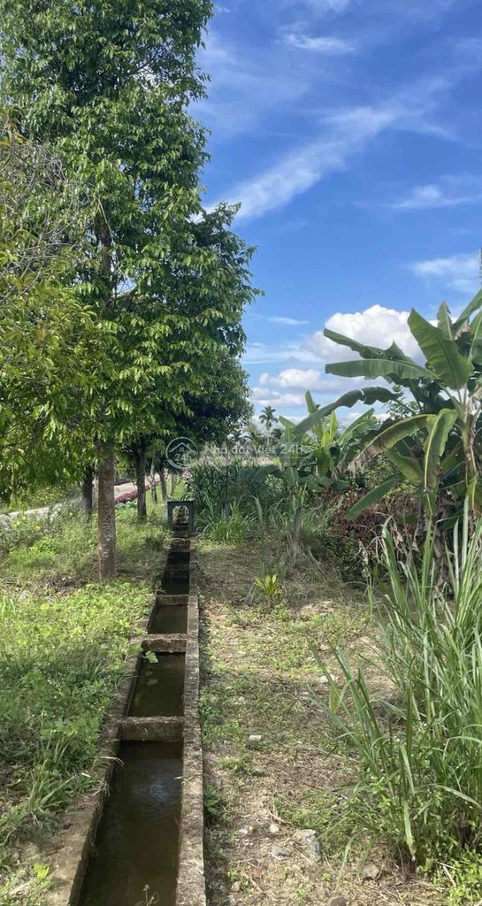 Đất mặt tiền nhựa xe ô tô vi vu, gần hồ Đạ Tẻh