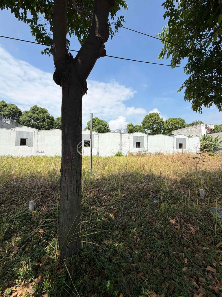 Cho thuê đất mặt tiền 829m² Hòa Lợi – rộng đẹp, đa mục đích