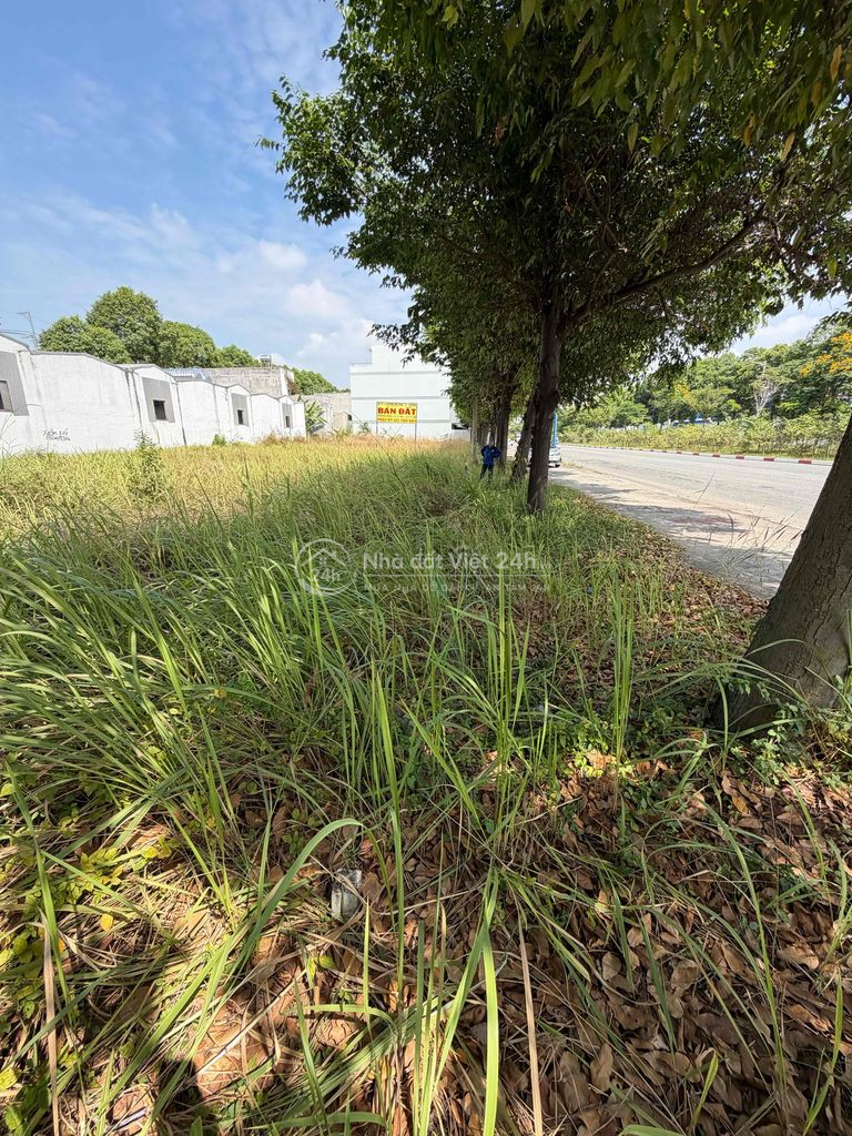 Cho thuê đất mặt tiền 829m² Hòa Lợi – rộng đẹp, đa mục đích
