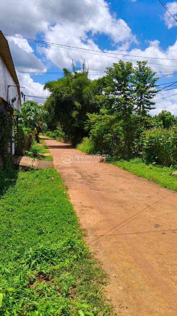 🔥 CHÍNH CHỦ KHÔNG Ở NỮA BÁN RẺ 517,6m2 SẴN NHÀ