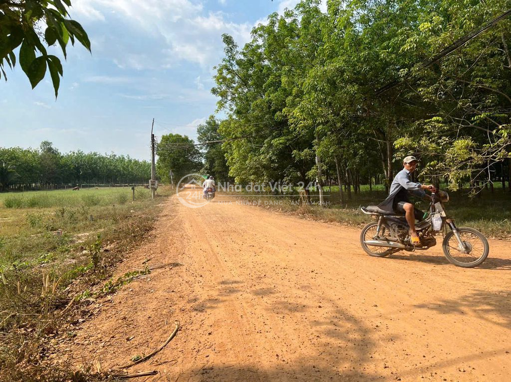 BÁN ĐẤT CHÍNH CHỦ LÔ GÓC 2 MẶT TIỀN