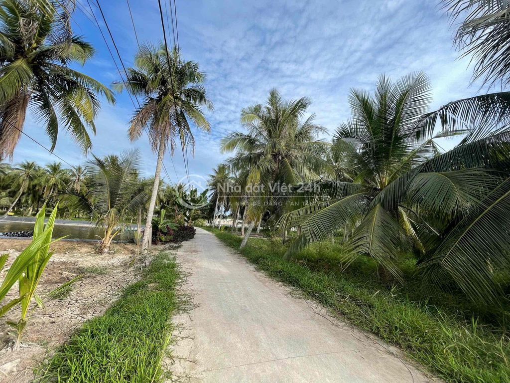 🌿 ĐẤT THỔ CƯ – GẦN CHỢ, GẦN TRƯỜNG 🌿
