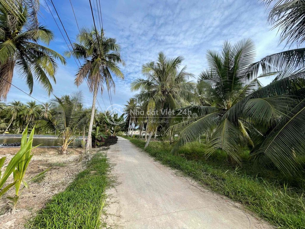 🌿 ĐẤT THỔ CƯ – GẦN CHỢ, GẦN TRƯỜNG 🌿