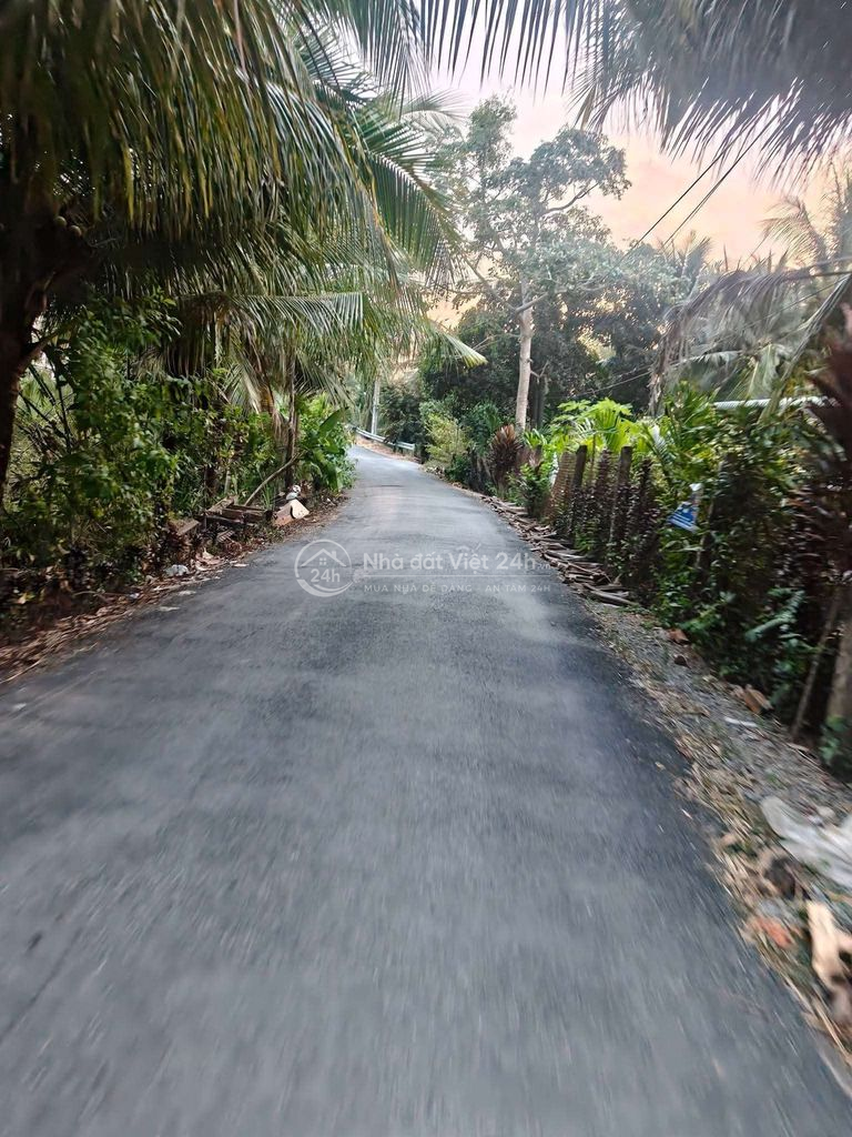 🔥 ĐẤT CAI LẬY 500M² (10x50) – 100M² THỔ CƯ – MẶT NHỰA, GIÁ 1,5 TỶ