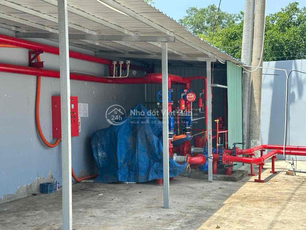 🔴 CHO THUÊ KHO XƯỞNG NGUYỄN HỮU TRÍ BẾN LỨC LONG AN HÌNH ẢNH THẬT 100%